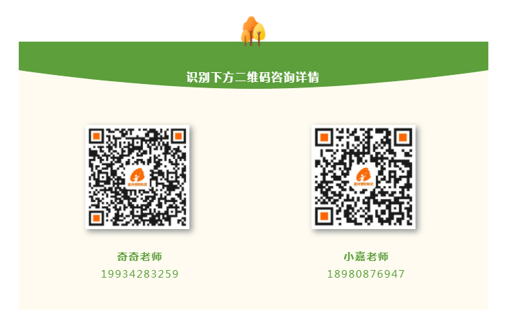 体适能、乒乓球、排球……嘉冠体育课程助力孩子体能成长！